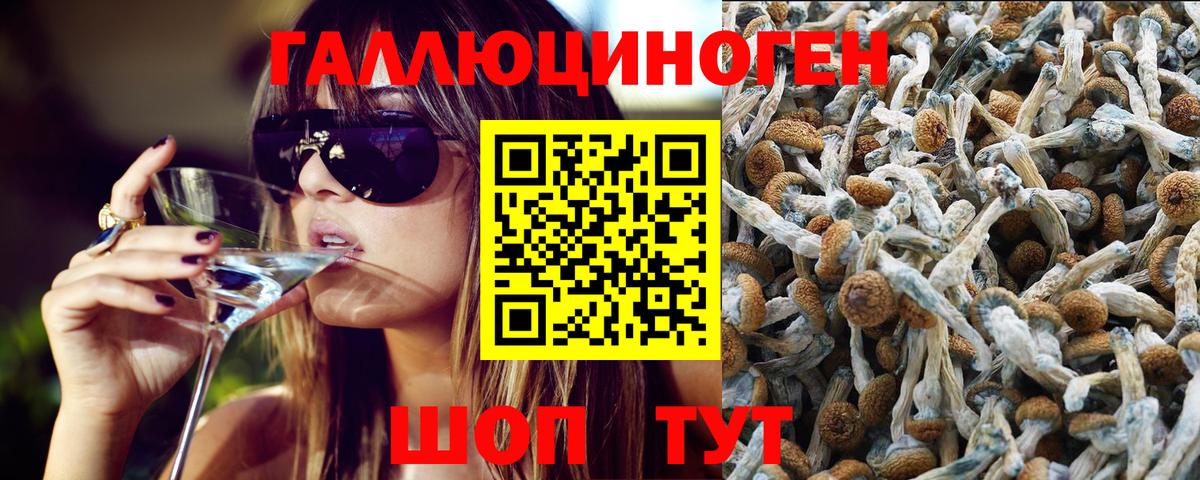 Павловский Посад  Псилоцибиновые грибы мухоморы  Вход с VPN 